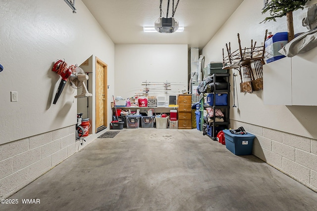 4509 Stone Pine Dr, Pinetop, AZ 85935 - garage featuring a garage door opener