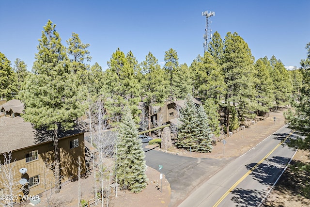 4509 Stone Pine Dr, Pinetop, AZ 85935 - drone / aerial view