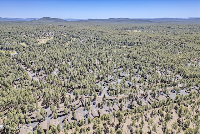 4509 Stone Pine Dr, Pinetop, AZ 85935 - view of property location with a forest and a mountain backdrop