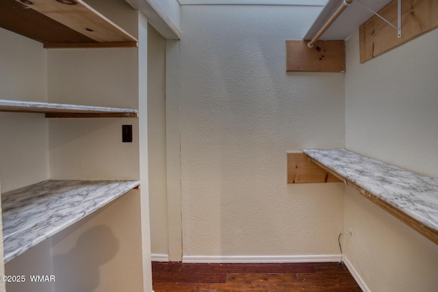 spacious closet featuring dark wood-style floors