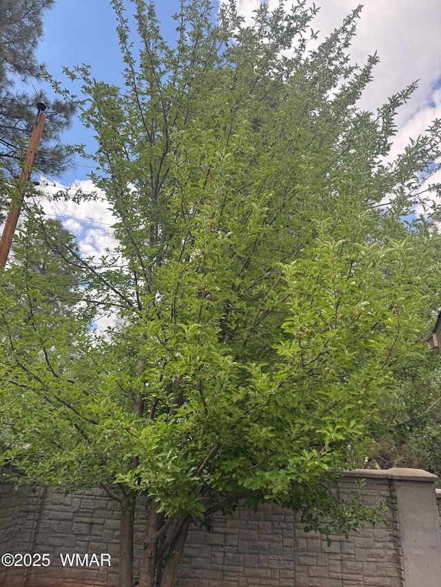 5200 S Morgan Mountain Dr, Show Low, AZ 85901 - exterior view
