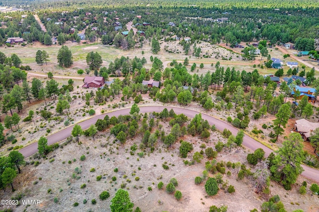 2793 Skyhawk Dr, Overgaard, AZ 85933 - photo 10