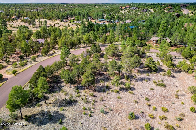 2793 Skyhawk Dr, Overgaard, AZ 85933 - photo 14
