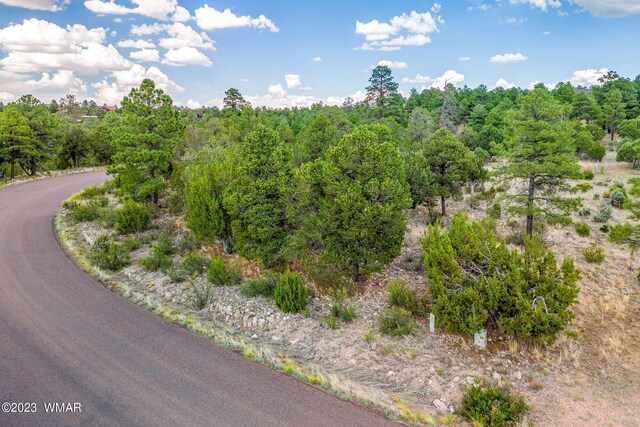 2793 Skyhawk Dr, Overgaard, AZ 85933 - photo 12