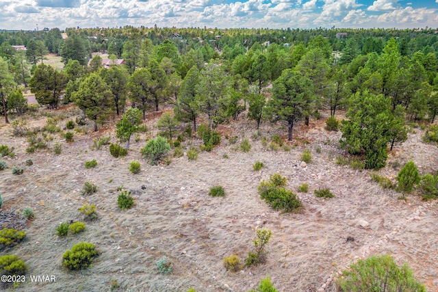 2793 Skyhawk Dr, Overgaard, AZ 85933 - photo 11