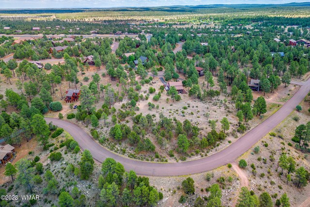 2793 Skyhawk Dr, Overgaard, AZ 85933 - photo 2