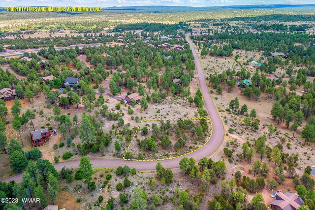 2793 Skyhawk Dr, Overgaard, AZ 85933 - photo 8