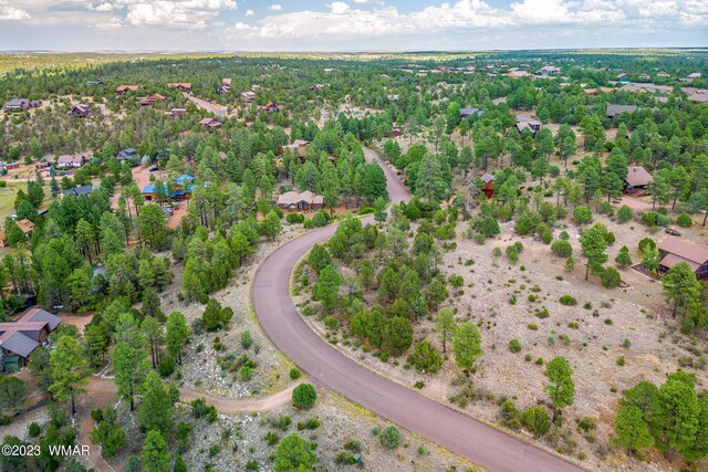 2793 Skyhawk Dr, Overgaard, AZ 85933 - photo 4
