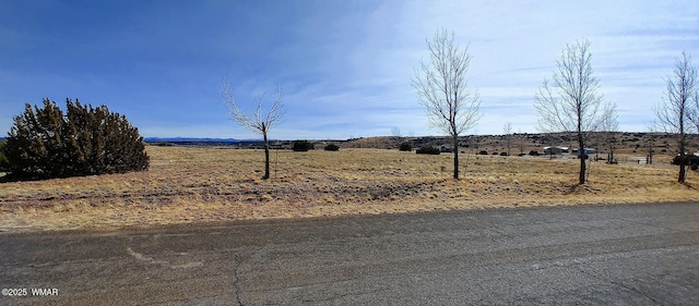 Listing photo 2 for 1350 W Farmhouse Dr, Taylor AZ 85939