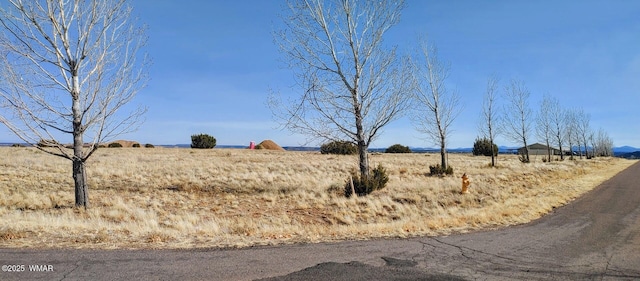 1350 W Farmhouse Dr, Taylor AZ, 85939 land for sale