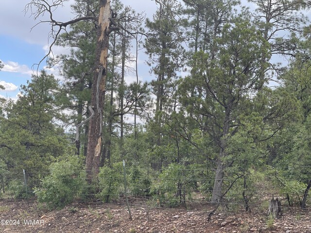 4501 S White Mountain Rd, Show Low, AZ 85901