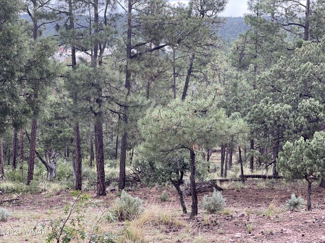 4501 S White Mountain Rd, Show Low, AZ 85901