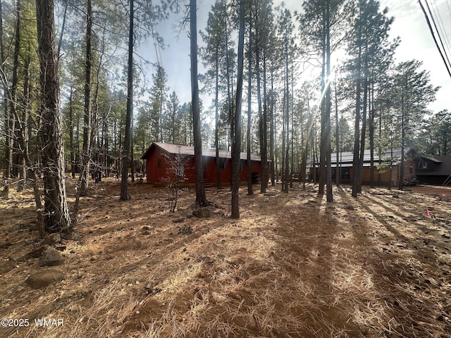 7204 Mark Twain Dr, Pinetop, AZ 85935 - view of yard