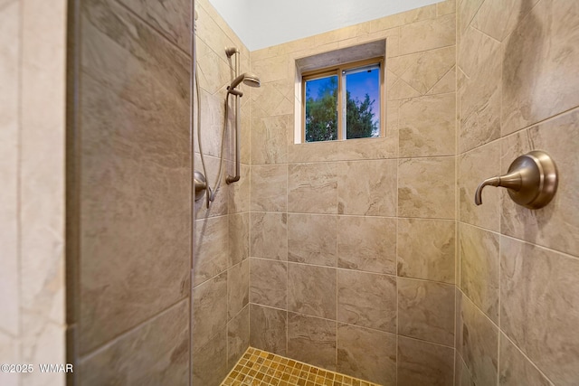 20 W Suncrest Ct, Show Low, AZ 85901 - bathroom with a tile shower