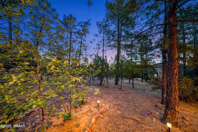 20 W Suncrest Ct, Show Low, AZ 85901 - view of yard