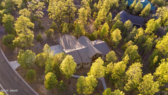 20 W Suncrest Ct, Show Low, AZ 85901 - drone / aerial view