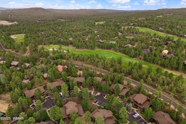 1031 S Spirea Ln, Show Low, AZ 85901 - photo 34