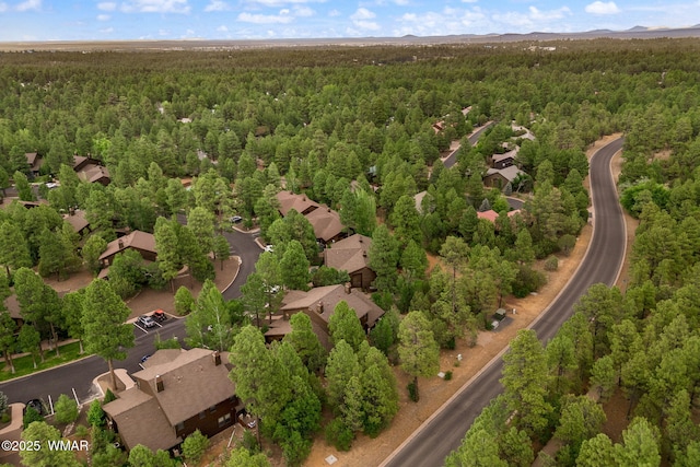 1031 S Spirea Ln, Show Low, AZ 85901 - photo 32