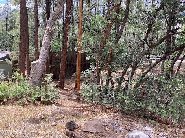 539 W Cooley Ln, Lakeside, AZ 85929 - photo 5
