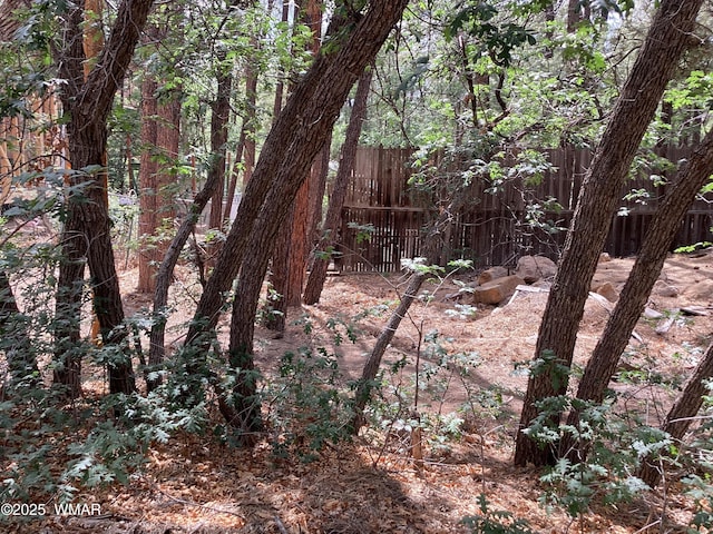 539 W Cooley Ln, Lakeside, AZ 85929 - photo 3