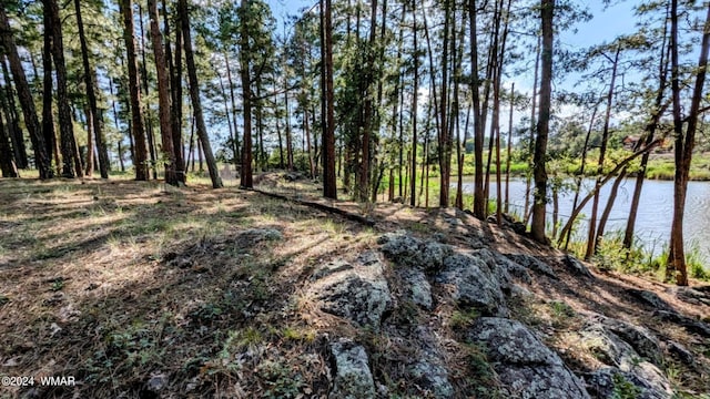 2422 Rainbow Lake Dr, Lakeside, AZ 85929