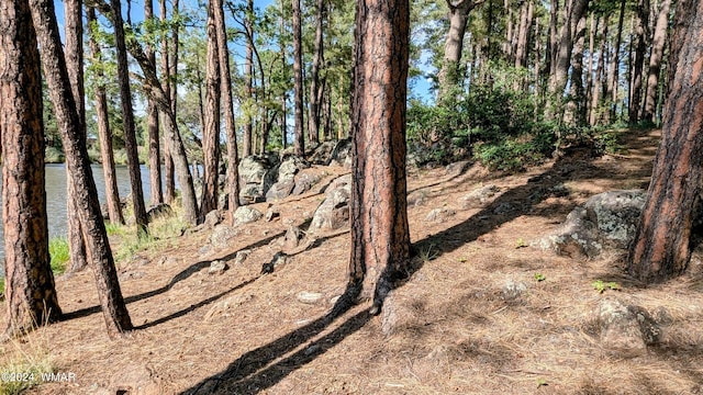 2422 Rainbow Lake Dr, Lakeside, AZ 85929