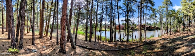 2422 Rainbow Lake Dr, Lakeside, AZ 85929