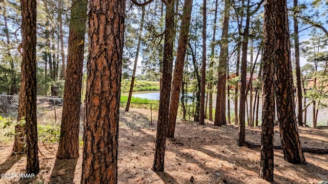 2422 Rainbow Lake Dr, Lakeside, AZ 85929