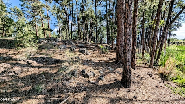 2422 Rainbow Lake Dr, Lakeside, AZ 85929