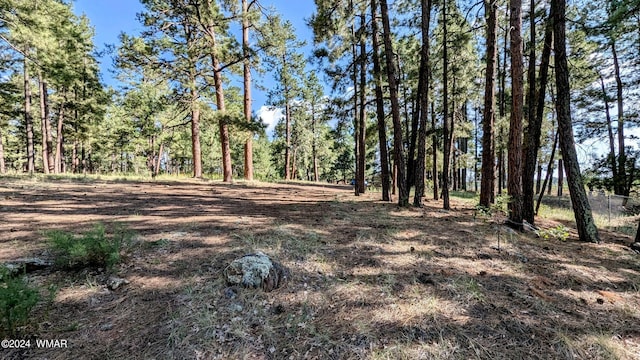 2422 Rainbow Lake Dr, Lakeside, AZ 85929