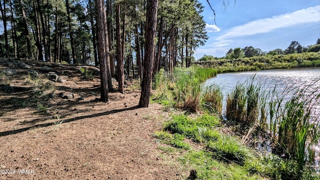 2422 Rainbow Lake Dr, Lakeside, AZ 85929