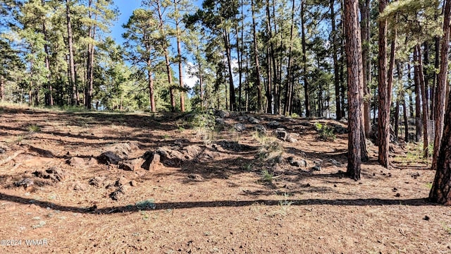 2422 Rainbow Lake Dr, Lakeside, AZ 85929