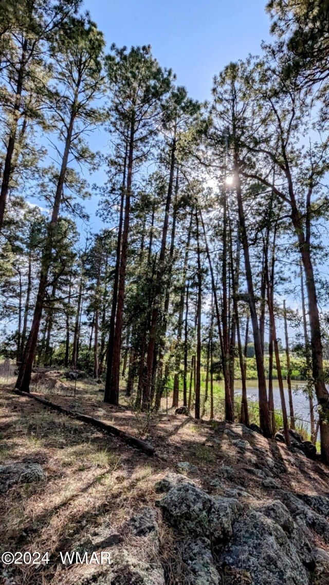 2422 Rainbow Lake Dr, Lakeside, AZ 85929