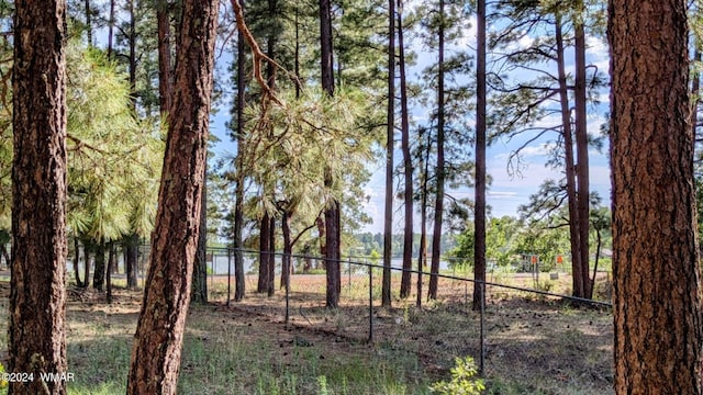 2422 Rainbow Lake Dr, Lakeside, AZ 85929