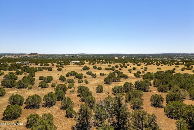 8770 Supancheck Rd, Show Low, AZ 85901 - photo 10