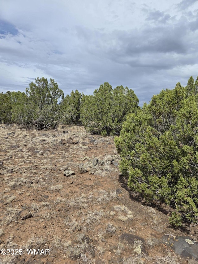 8770 Supancheck Rd, Show Low, AZ 85901 - photo 1