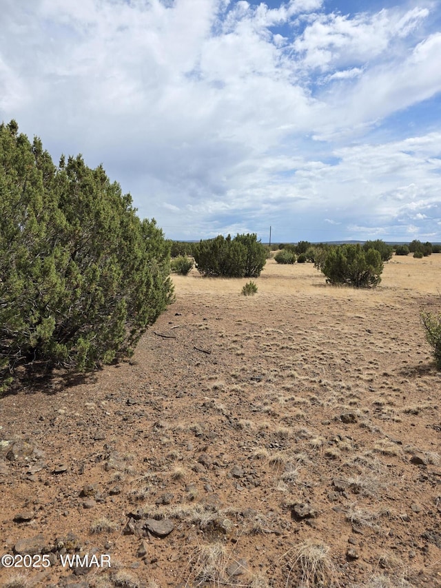 8770 Supancheck Rd, Show Low, AZ 85901 - photo 15