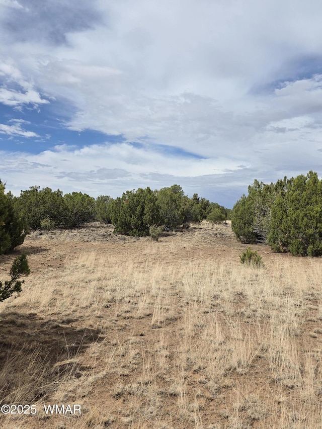 8770 Supancheck Rd, Show Low, AZ 85901 - photo 17
