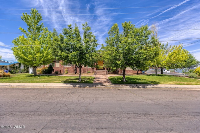 416 S 2nd St, Snowflake, AZ 85937 - view of property hidden behind natural elements with a front yard