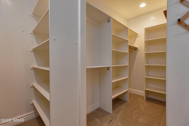 416 S 2nd St, Snowflake, AZ 85937 - walk in closet with carpet floors