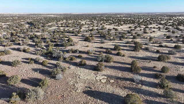 1139 Seymour Rd, Heber, AZ 85928 - photo 24