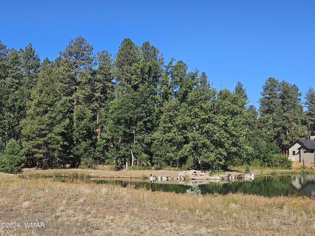 2480 W Edgewater, Show Low, AZ 85901
