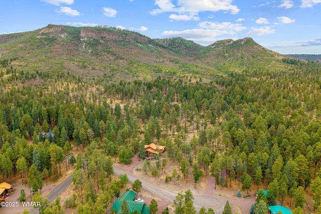 17 County Road 2195, Alpine, AZ 85920 - photo 53