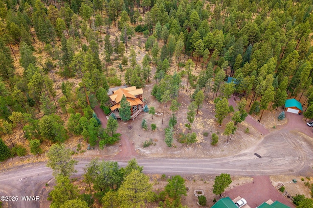 17 County Road 2195, Alpine, AZ 85920 - photo 54