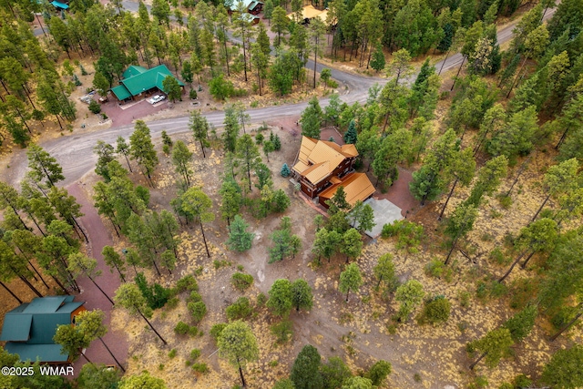 17 County Road 2195, Alpine, AZ 85920 - photo 55