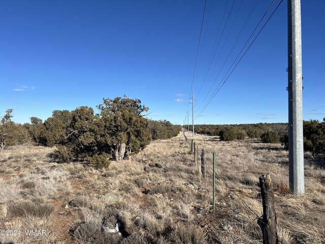 2008 Rosa Ln, Show Low, AZ 85901 - photo 15