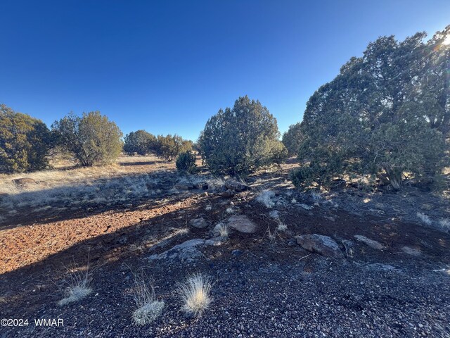2008 Rosa Ln, Show Low, AZ 85901 - photo 9