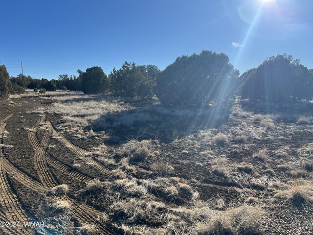 2008 Rosa Ln, Show Low, AZ 85901 - photo 5