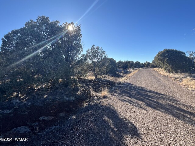 2008 Rosa Ln, Show Low, AZ 85901 - photo 8