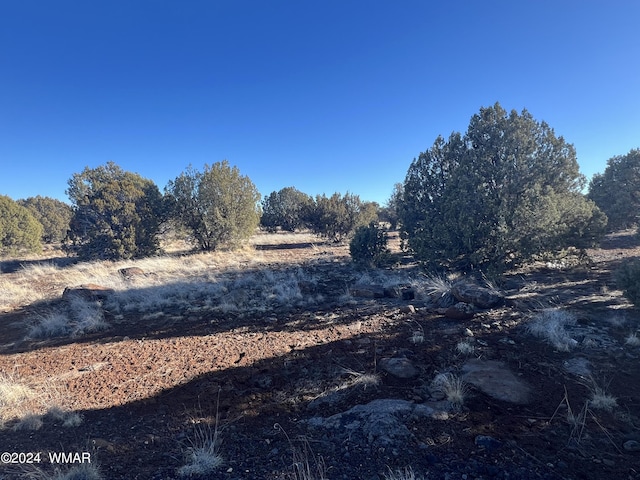 2008 Rosa Ln, Show Low, AZ 85901 - photo 2